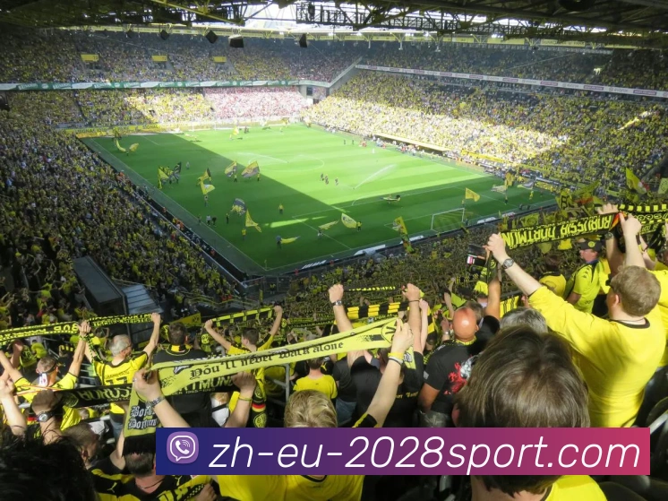 2028体育官网平台生态图