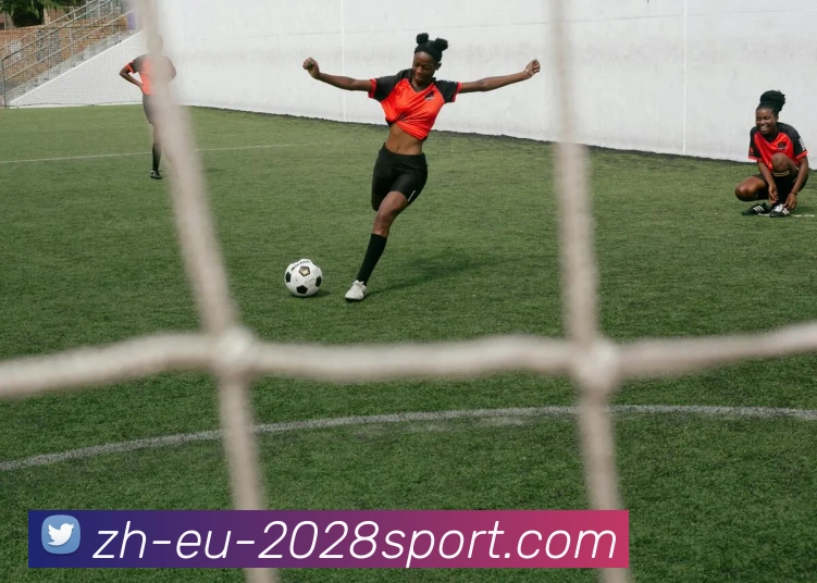 2028体育官网全站App